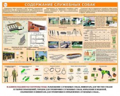 Комплект плакатов "Кинология" - fgospostavki.ru - Нижний Тагил