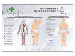 Электрифицированный стенд "Остановка кровотечения" - fgospostavki.ru - Нижний Тагил