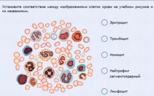 Интерактивные курсы. Биология 11 класс. Расширенный. - fgospostavki.ru - Нижний Тагил