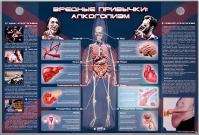 Электрифицированный стенд "Вредные привычки: алкоголизм" - fgospostavki.ru - Нижний Тагил