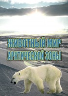 DVD "Животный мир Арктической зоны" - fgospostavki.ru - Нижний Тагил