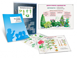 Комплект кодотранспарантов "Культурные растения" - fgospostavki.ru - Нижний Тагил