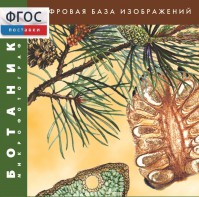 Ботаника. Микрофотографии. (Цифровая база изображений) - fgospostavki.ru - Нижний Тагил
