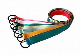 Лента гимнастическая на кольце (0,25 метра) - fgospostavki.ru - Нижний Тагил