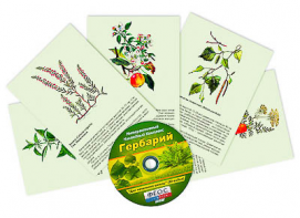 Интерактивный наглядный комплекс "Гербарий "Для начальной школы" - fgospostavki.ru - Нижний Тагил