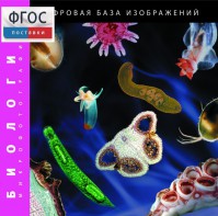 Биология. Микрофотографии. (Цифровая база изображений) - fgospostavki.ru - Нижний Тагил