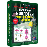 Наглядная биология. 6 класс. Растения. Грибы. Бактерии - fgospostavki.ru - Нижний Тагил