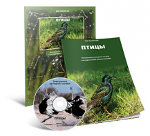 Электронное наглядное пособие «Птицы» - fgospostavki.ru - Нижний Тагил