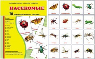 Демонстрационные карточки "Насекомые" - fgospostavki.ru - Нижний Тагил