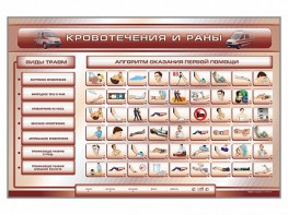 Трехсекционный базовый комплект "Травмы. Кровотечения. Ожоги" для учащихся общеобразовательных учреждений - fgospostavki.ru - Нижний Тагил