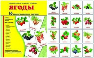 Демонстрационные карточки "Ягоды" - fgospostavki.ru - Нижний Тагил