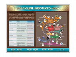 Интерактивный электрифицированный стенд "Эволюция животного мира" - fgospostavki.ru - Нижний Тагил