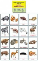 Раздаточные карточки "Дикие животные (1)" - fgospostavki.ru - Нижний Тагил