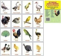 Раздаточные карточки "Птицы домашние и декоративные" - fgospostavki.ru - Нижний Тагил