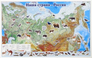 Магнитные карточки "Животные" - fgospostavki.ru - Нижний Тагил
