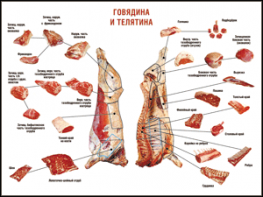Таблица "Правила разделки мясных туш. Говядина и телятина" (100х140 сантиметров, винил) - fgospostavki.ru - Нижний Тагил