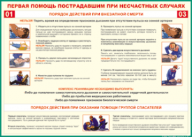 Таблица "Порядок действий при внезапной смерти" (100х140 сантиметров, винил) - fgospostavki.ru - Нижний Тагил