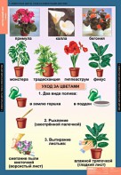 Комплект таблиц. Окружающий мир 1 класс. - fgospostavki.ru - Нижний Тагил