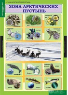 Комплект таблиц. Окружающий мир 4 класс. - fgospostavki.ru - Нижний Тагил