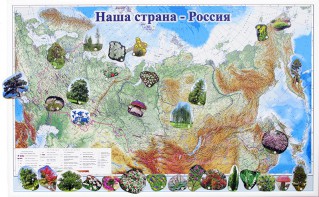 Магнитные карточки "Растения" - fgospostavki.ru - Нижний Тагил