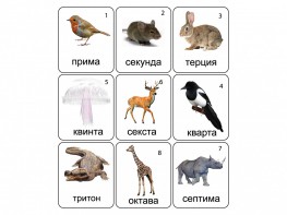 Набор магнитных карточек по музыке "Животные" (9 штук) - fgospostavki.ru - Нижний Тагил