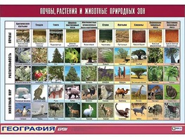 Таблица демонстрационная "Почвы, растения и животные природных зон" (винил 70*100) - fgospostavki.ru - Нижний Тагил