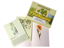 Гербарий "Систематика растений. Семейство Пасленовые. Крестоцветные. Сложноцветные" (раздаточный) - fgospostavki.ru - Нижний Тагил