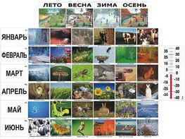 Фенологические наблюдения - fgospostavki.ru - Нижний Тагил