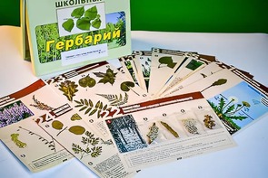 Гербарий к курсу основ общей биологии - fgospostavki.ru - Нижний Тагил