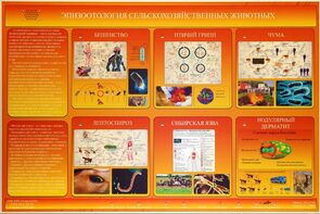 Электрифицированный стенд «Эпизоотология сельскохозяйственных животных» - fgospostavki.ru - Нижний Тагил