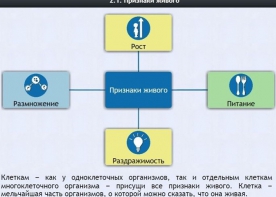 Интерактивные курсы. Биология 5 класс. Базовый - fgospostavki.ru - Нижний Тагил