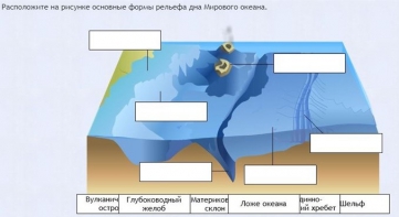 Интерактивные курсы. География 7 класс . Базовый. - fgospostavki.ru - Нижний Тагил