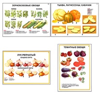 Плакаты ПРОФТЕХ "Ассортимент овощных культур" (12 пл, винил, 70х100) - fgospostavki.ru - Нижний Тагил