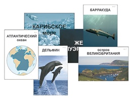 Модель-аппликация "Океаны. Знакомство" (ламинированная) - fgospostavki.ru - Нижний Тагил