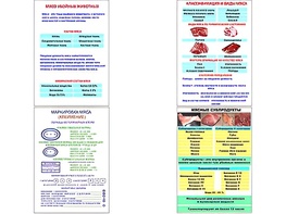 Плакаты ПРОФТЕХ "Классификации и виды мяса" (4 пл, винил, 70х100) - fgospostavki.ru - Нижний Тагил