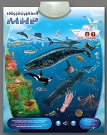 Озвученный плакат "Подводный мир" - fgospostavki.ru - Нижний Тагил