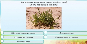 Интерактивные курсы. Окружающий мир 3 класс . Базовый. - fgospostavki.ru - Нижний Тагил