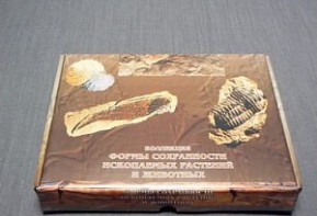 Коллекция "Формы сохранности ископаемых растений и животных" - fgospostavki.ru - Нижний Тагил