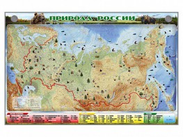 Электронно-информационный (маркерный) стенд "Природа России" - fgospostavki.ru - Нижний Тагил