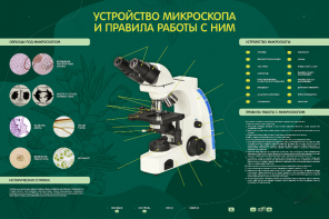 Электрифицированный стенд "Устройство микроскопа и правила работы c ним" - fgospostavki.ru - Нижний Тагил