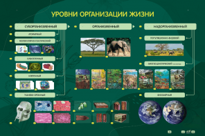 Электрифицированный стенд "Уровни организации жизни" - fgospostavki.ru - Нижний Тагил