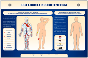 Электрифицированный стенд-тренажер "Остановка кровотечения" - fgospostavki.ru - Нижний Тагил