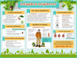 Стенд "Клещевой энцефалит" - fgospostavki.ru - Нижний Тагил