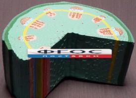 Модель "Стебель растения" - fgospostavki.ru - Нижний Тагил