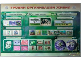 Электрифицированный стенд "Уровни организации жизни" - fgospostavki.ru - Нижний Тагил