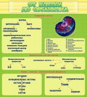Стенд "От клетки до организма" - fgospostavki.ru - Нижний Тагил