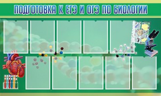 Стенд "Подготовка к ЕГЭ и ОГЭ по биологии" Вариант 2 - fgospostavki.ru - Нижний Тагил