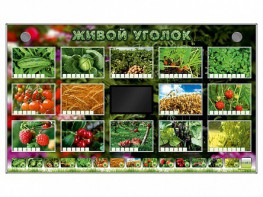 Комплект оборудования "Живой уголок" (растения) - fgospostavki.ru - Нижний Тагил