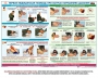 Комплект плакатов "Оказание первой доврачебной медицинской помощи" - fgospostavki.ru - Нижний Тагил