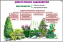 Комплект кодотранспарантов "Культурные растения" - fgospostavki.ru - Нижний Тагил